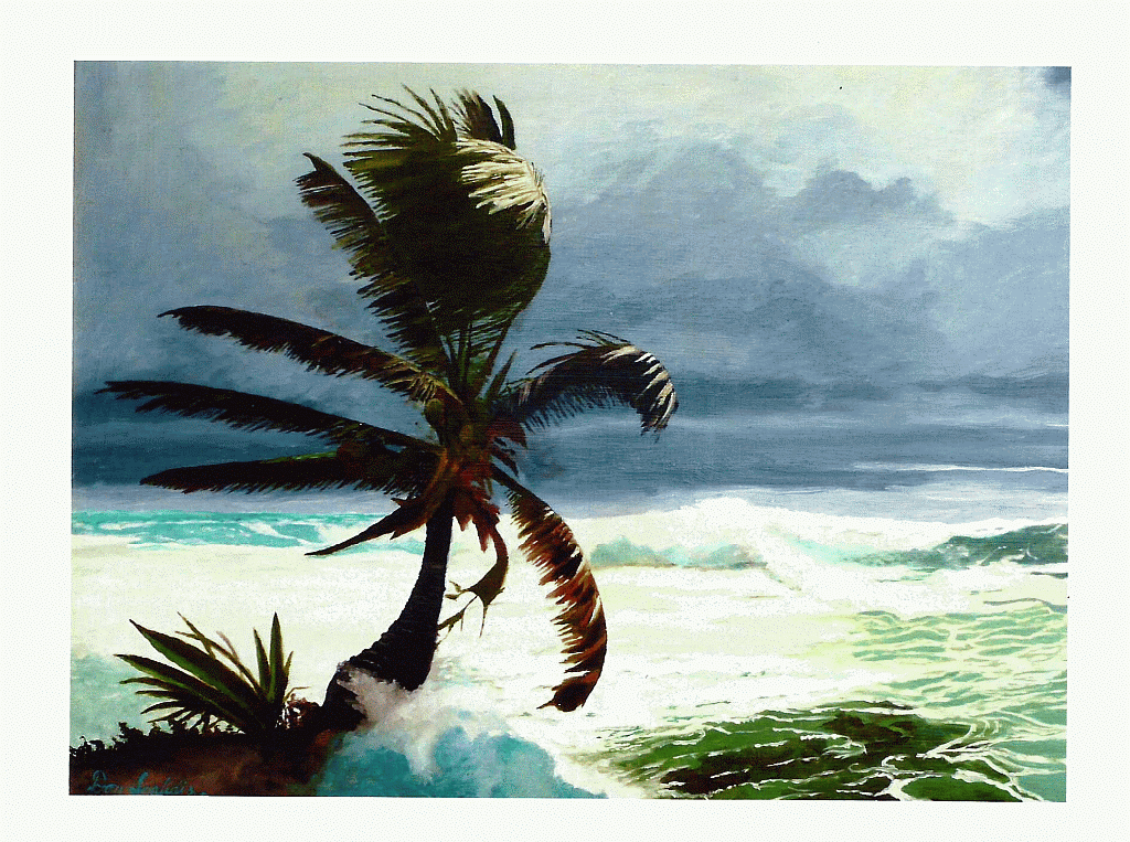 Scafidi-Card_PalmTree1024x763_single